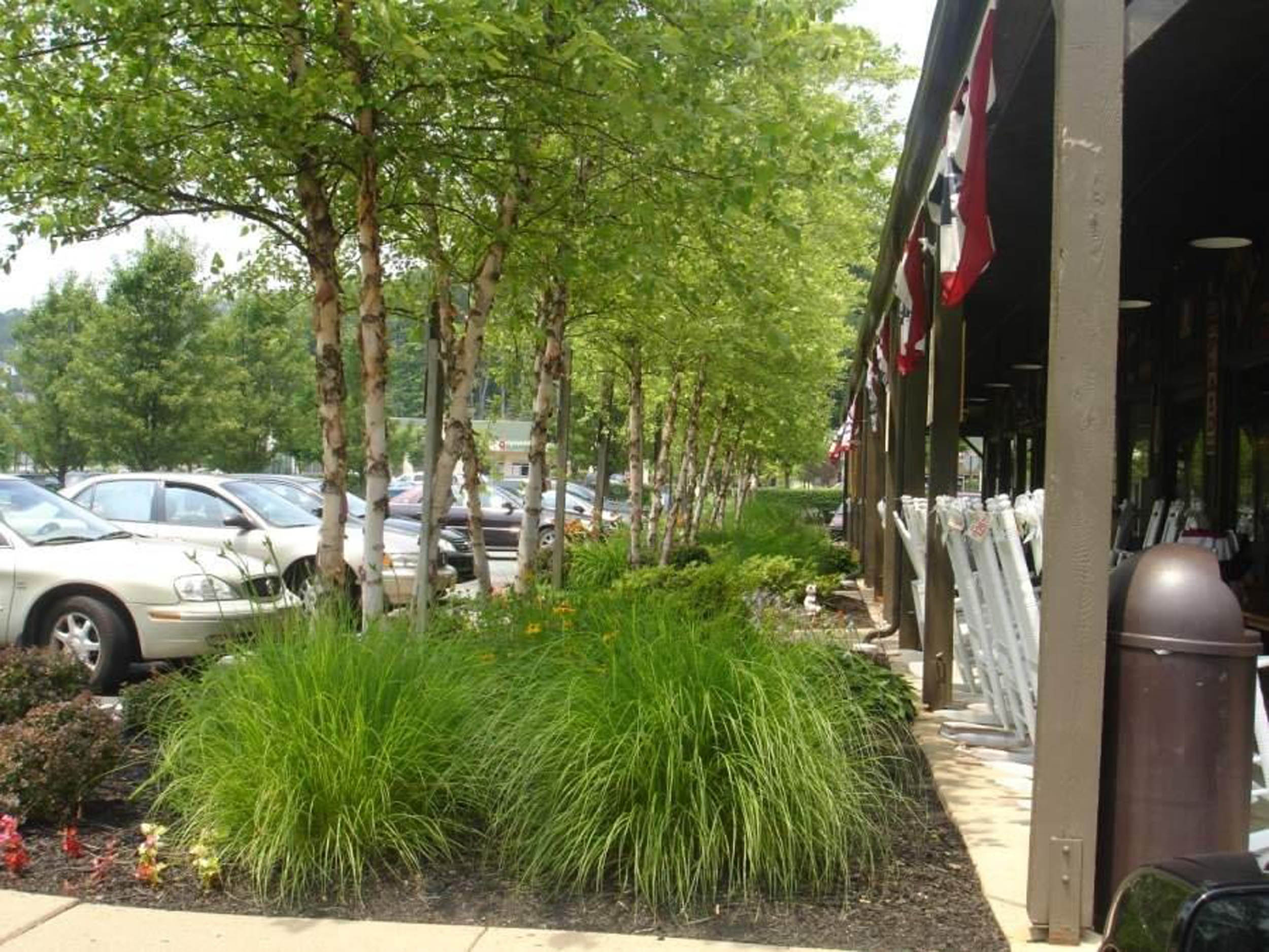 Commercial Landscape Projects