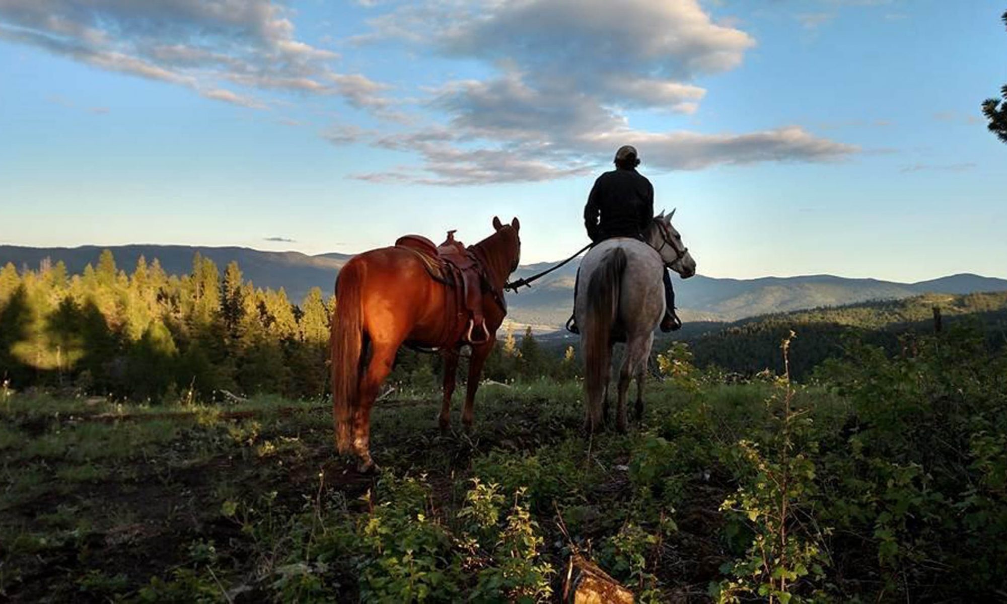 Twisted Pine Ranch, Kyla MT