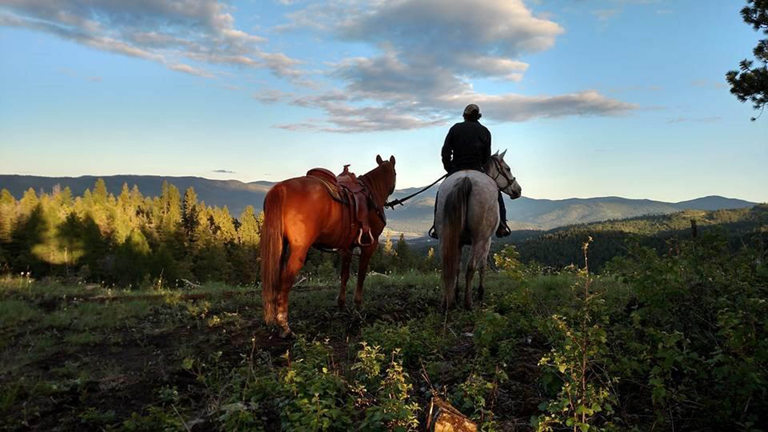 Twisted Pine Ranch, Kyla MT